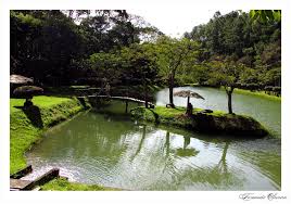 images.jpgflona passaquatro.jpg