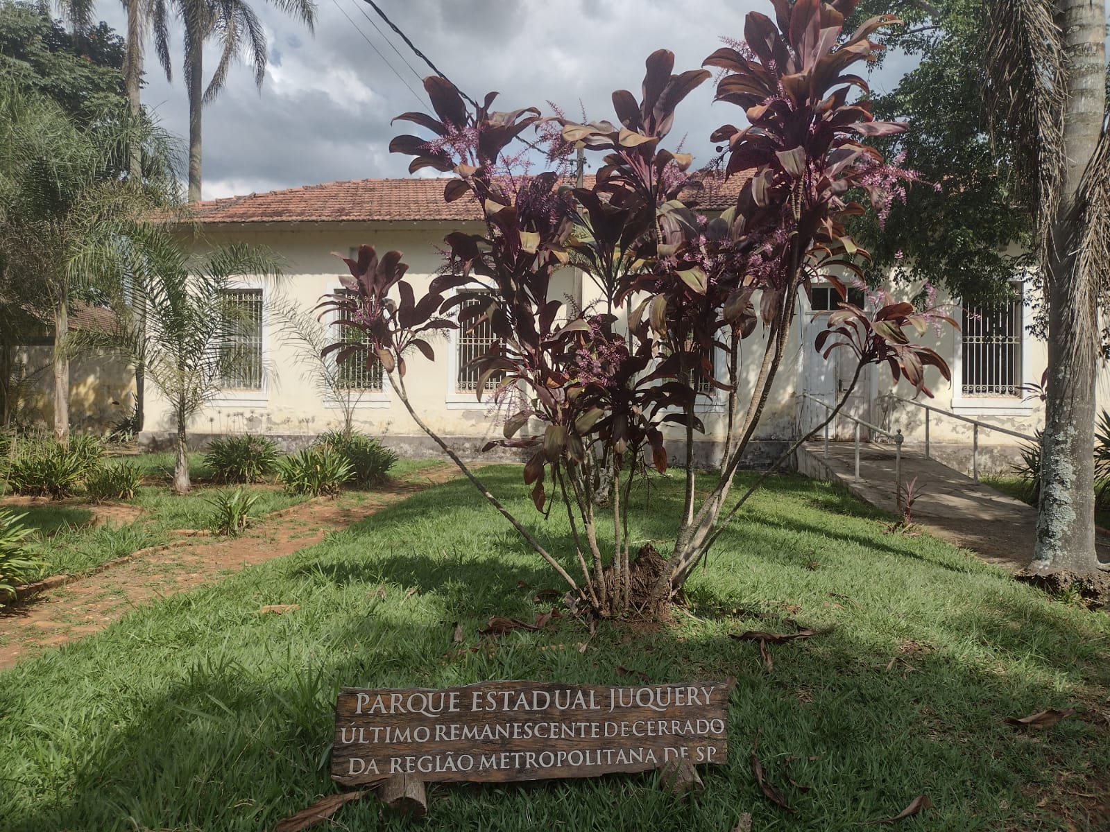 WhatsApp Image 2025-10-29 at 16.18.46(2).jpeg