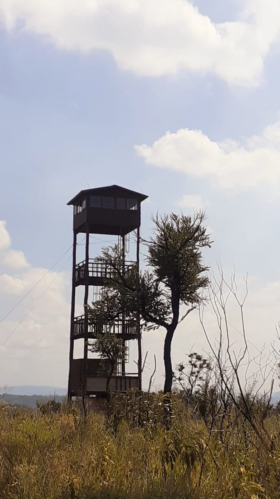 WhatsApp Image 2025-10-29 at 16.18.46(6).jpeg